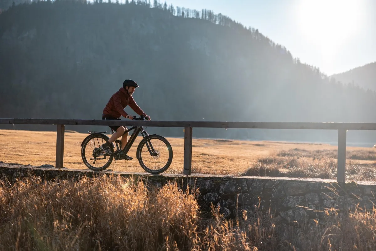 corratec E-Trekking Bike mit Tiefeinstieg auf einem Holzsteg